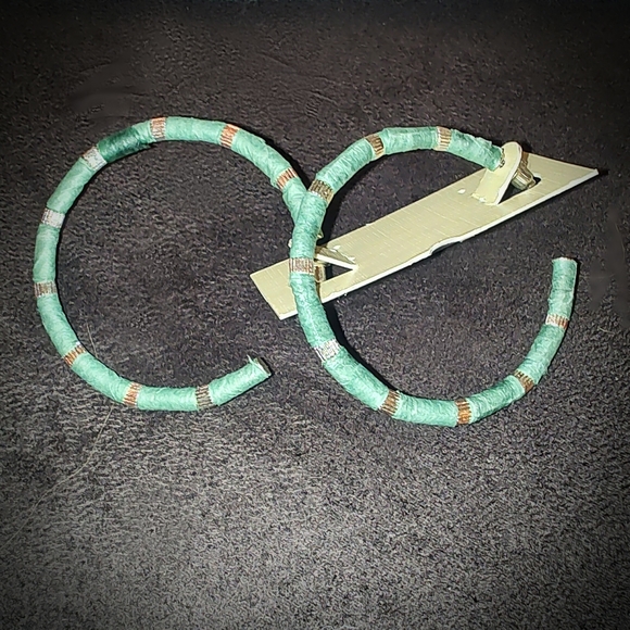 Bundle Set of 2 NEW Pairs of Hoop Earrings, Acrylic/Lucite - Picture 6 of 13